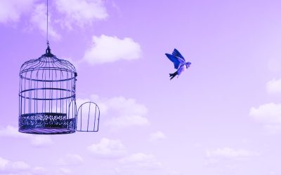 Le gabbie interiori: da dove vengono le credenze che ci tengono fermi